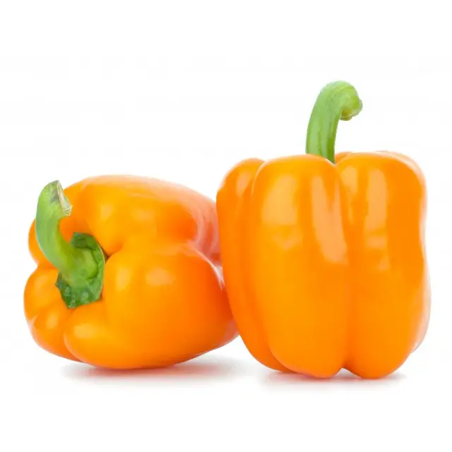 Orange Bell Peppers